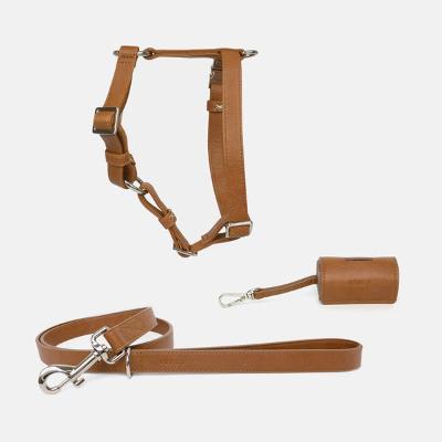 Vegan Dog Collars and Leashes: Eco-Friendly Pet Accessories